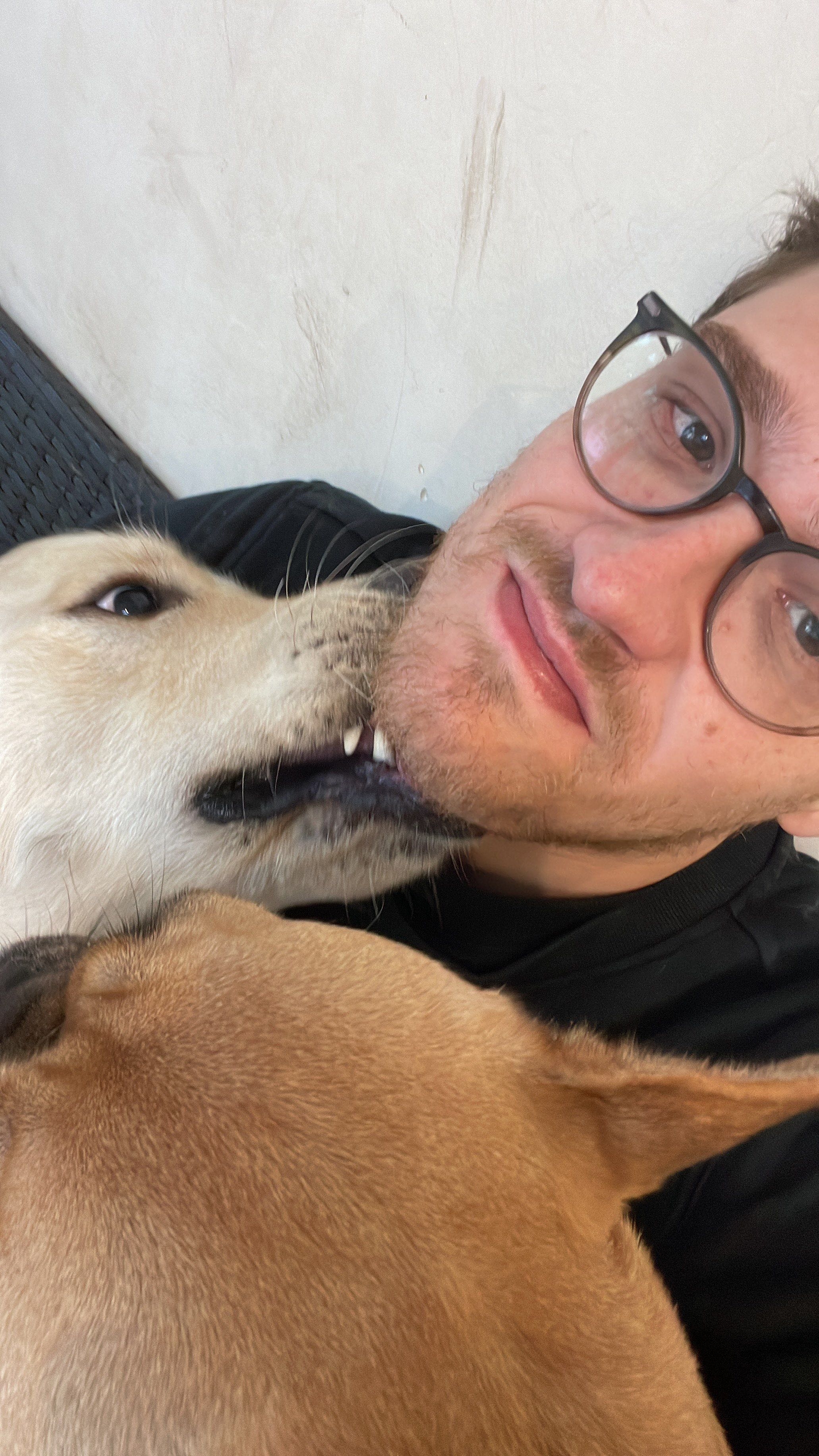 Marcus câliné par un chien crème pendant une garde, un autre chien au premier plan